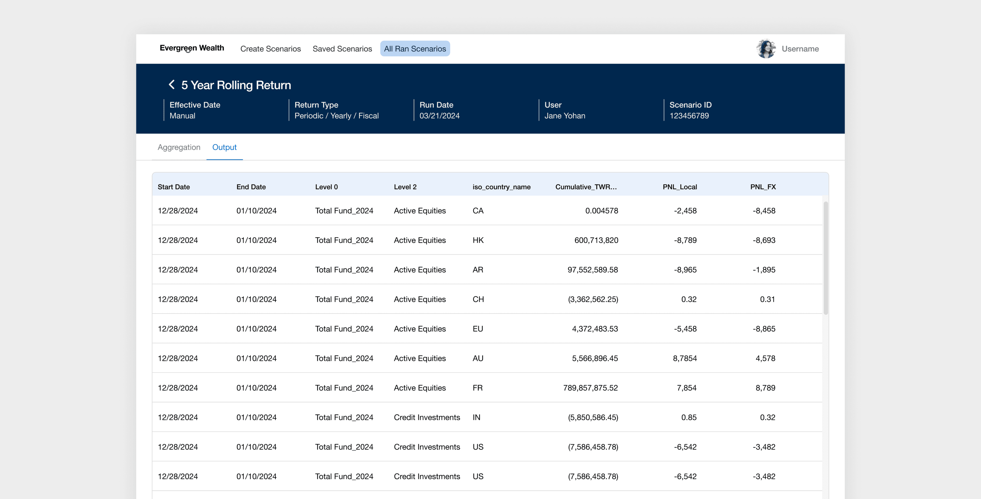 Preview report interface