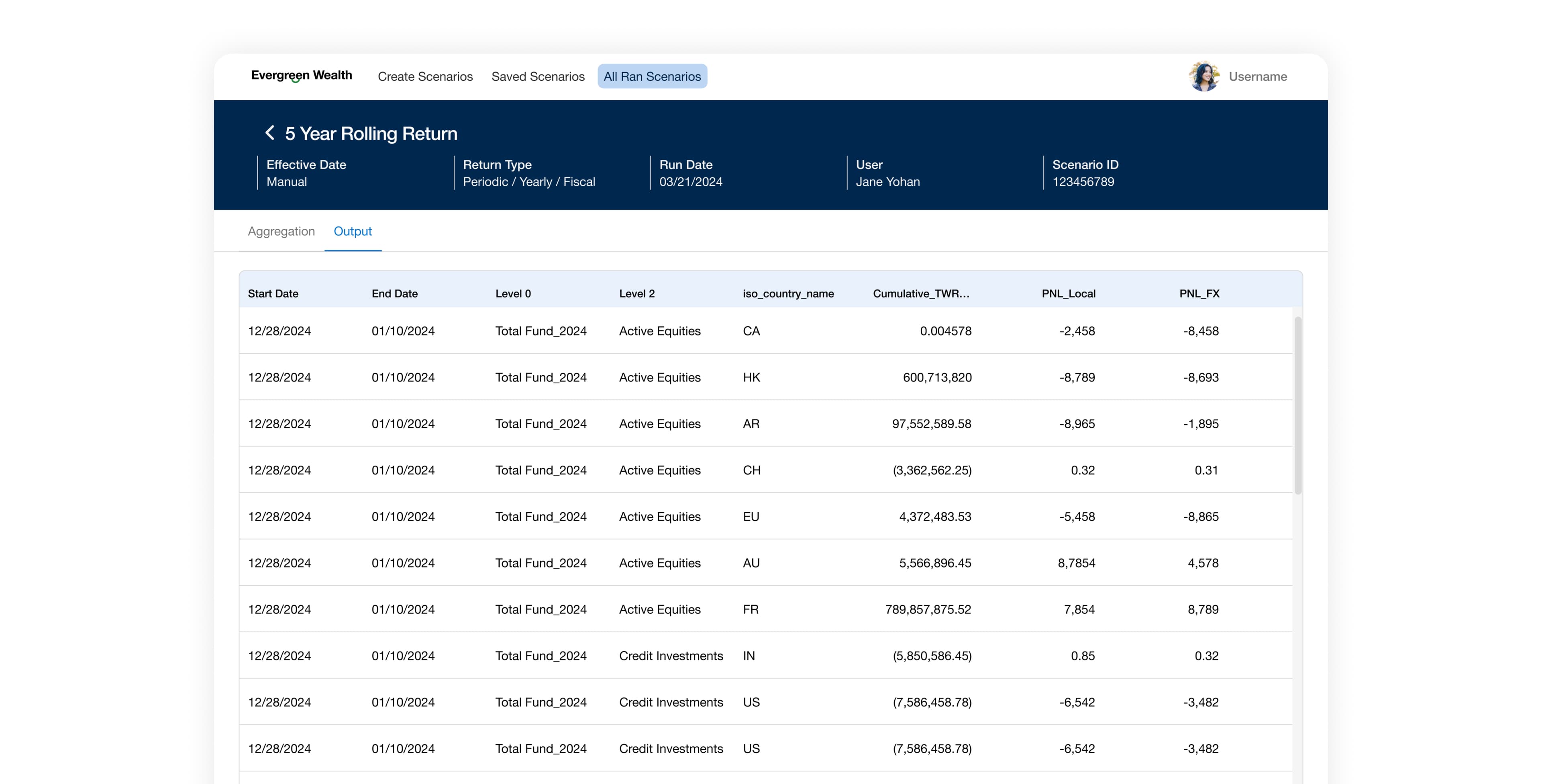 Preview report interface